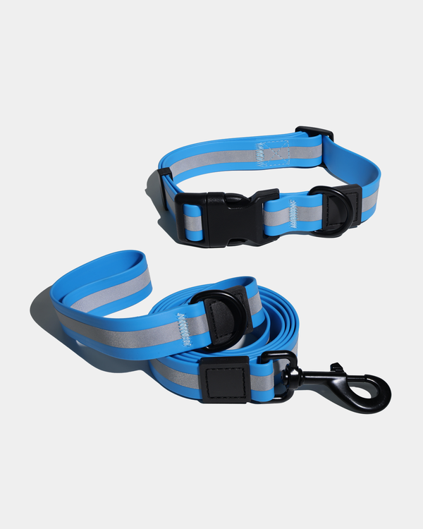 Waterproof Leash & Collar Set