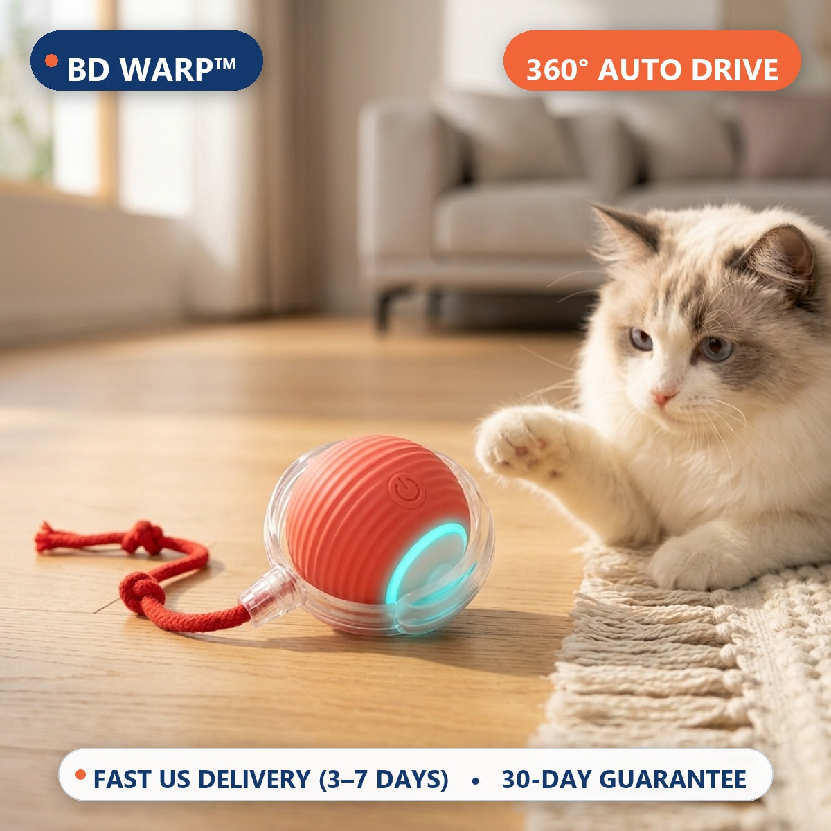 BD Warp™ Smart Interactive Rolling Cat Ball - Scandinavian Sunlit Living Room Lifestyle Hero