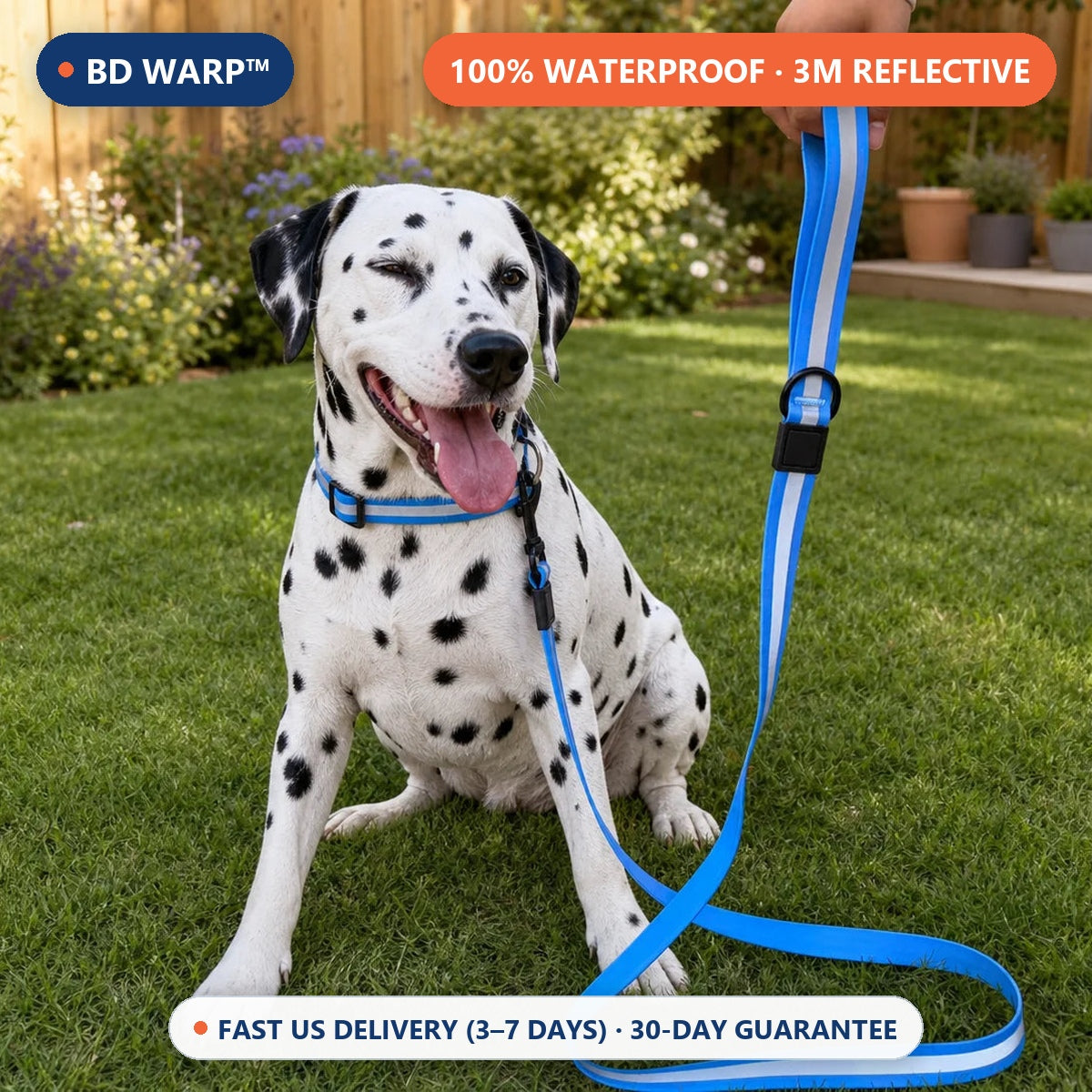 BD Warp™ All-Weather Waterproof & Reflective PVC Dog Collar & Leash Set Lifestyle Hero
