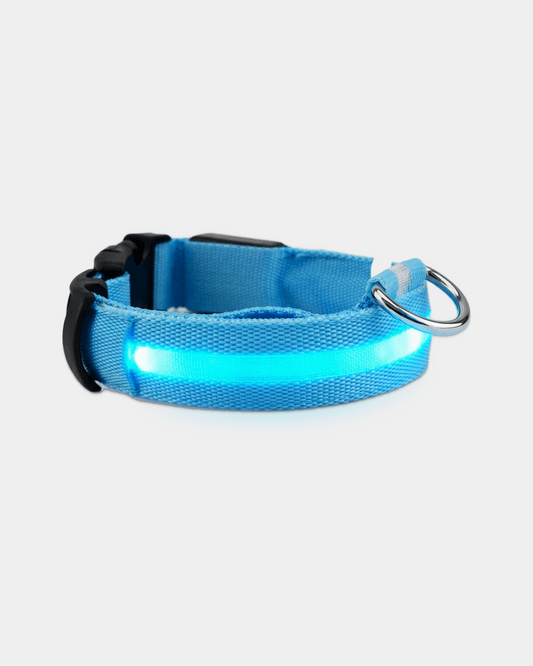 BD Warp Glow Dog Collar - Field-Tested Outdoor Utility Gear