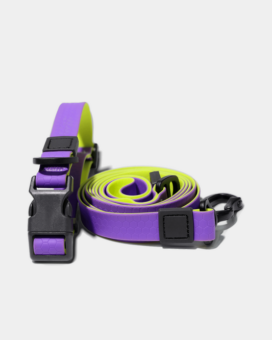 Honeycomb Collar & Leash Set - Royal Purple & Volt Lime