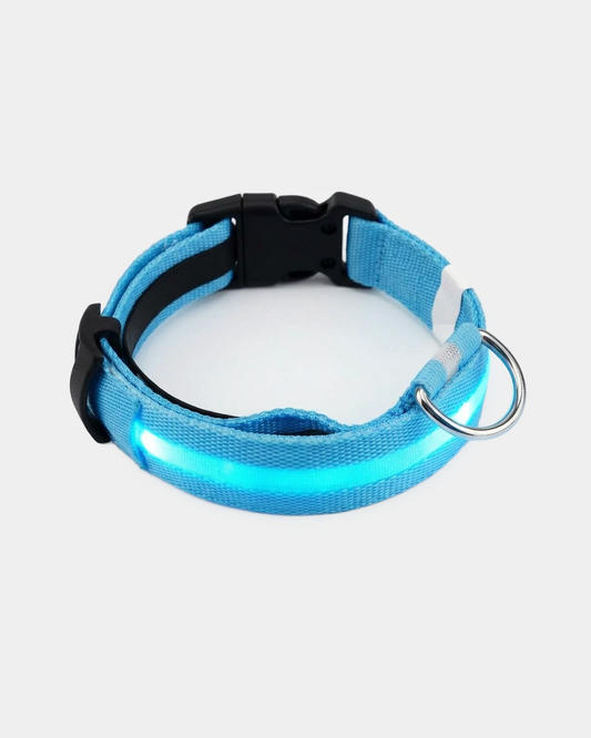 BD Warp™ NightGlow LED Safety Dog Collar - 45-Degree Elevated Circular Studio View (Authentic Studio Contact Shadow & Warm-White Edition)