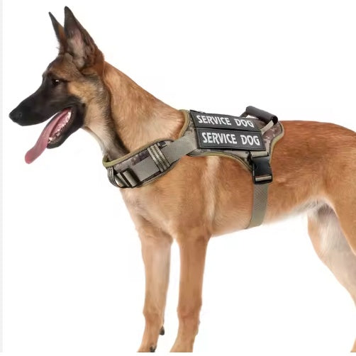 BD Warp™ Tactical No-Pull Service Dog Harness with Control Handle
