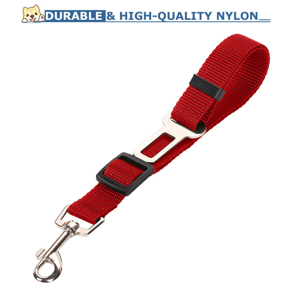 BD Warp™ Heavy-Duty Elastic Bungee Pet Car Safety Restraint Leash