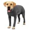 Pet Recovery Suit for Dogs Anti-Shedding Calming Shirt Breathable Elastic Nylon Spandex Bodysuit for Post-Op & Daily Use
