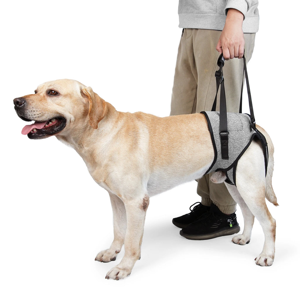 Dog Rear Leg Support Harness, Pet Lift Sling for Senior & Disabled Dogs, Adjustable Rehabilitation Aid