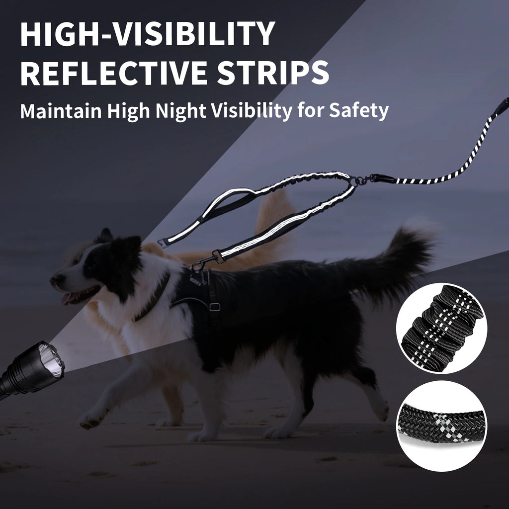 Reflective No-Tangle Double Dog Leash Comfortable Dual Pet Leash with Bungee Extension Includes Poop Bag Dispenser for Two Dogs