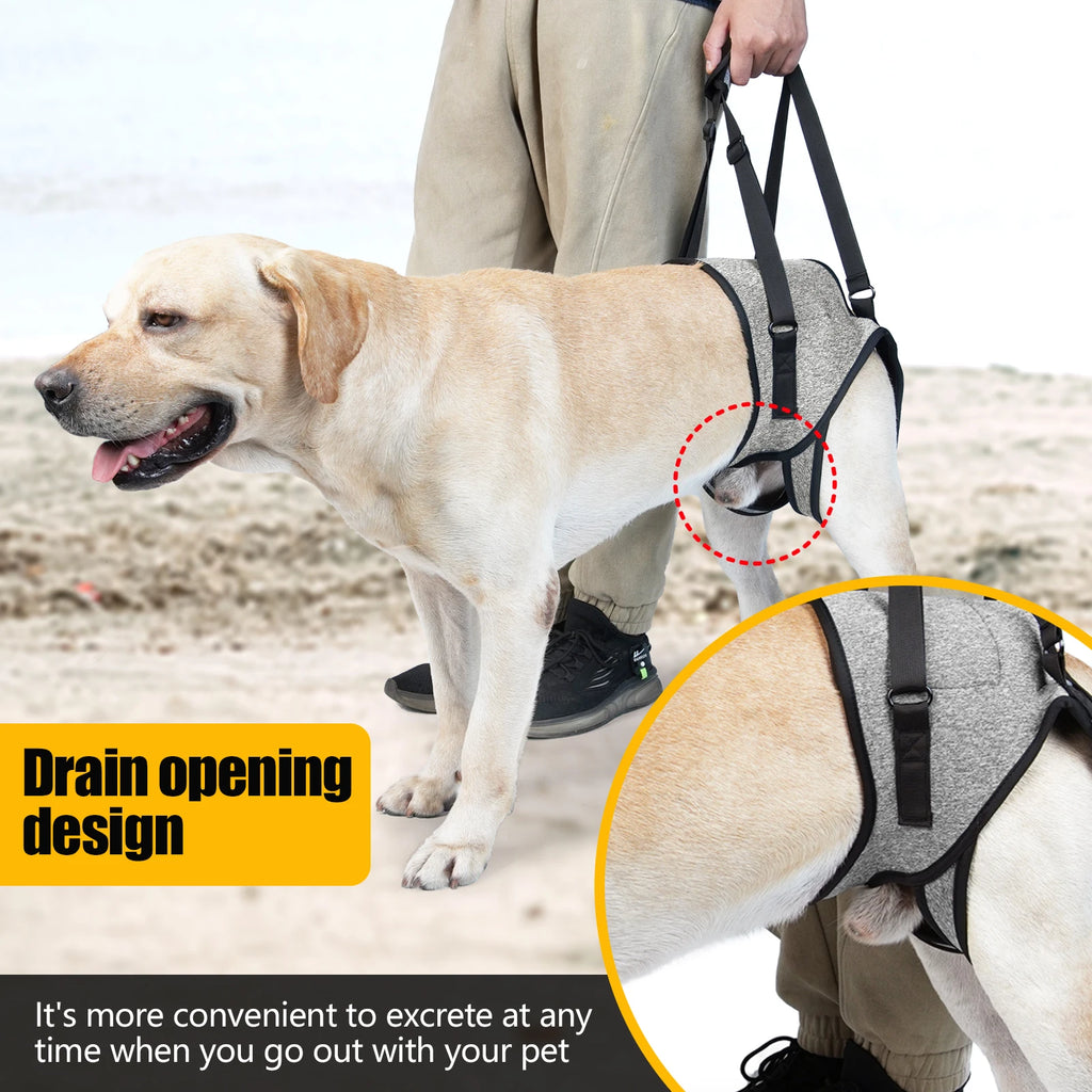 Dog Rear Leg Support Harness, Pet Lift Sling for Senior & Disabled Dogs, Adjustable Rehabilitation Aid
