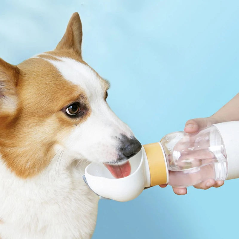 Eco-Friendly Cute Travel Pet Water Bottle Easy-to-Clean Pet Health Drinking Cup for Panic Buying