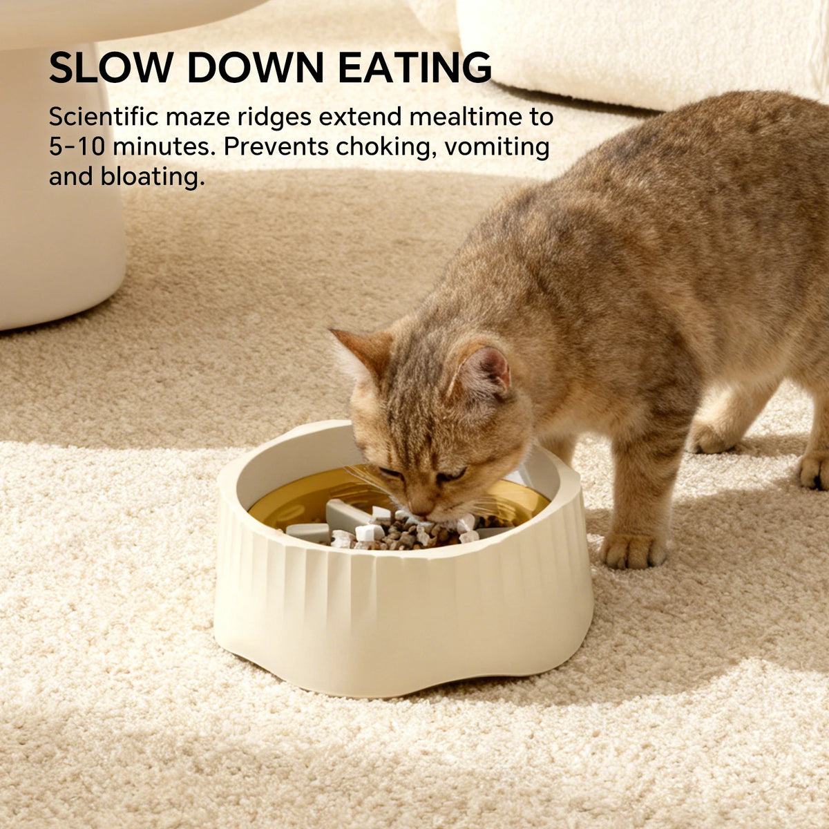 Dual Purpose Pet Slow Feeder Bowl Maze Anti Vomiting Cat Food Dish Non Slip US in Stock Wholesale Dropship