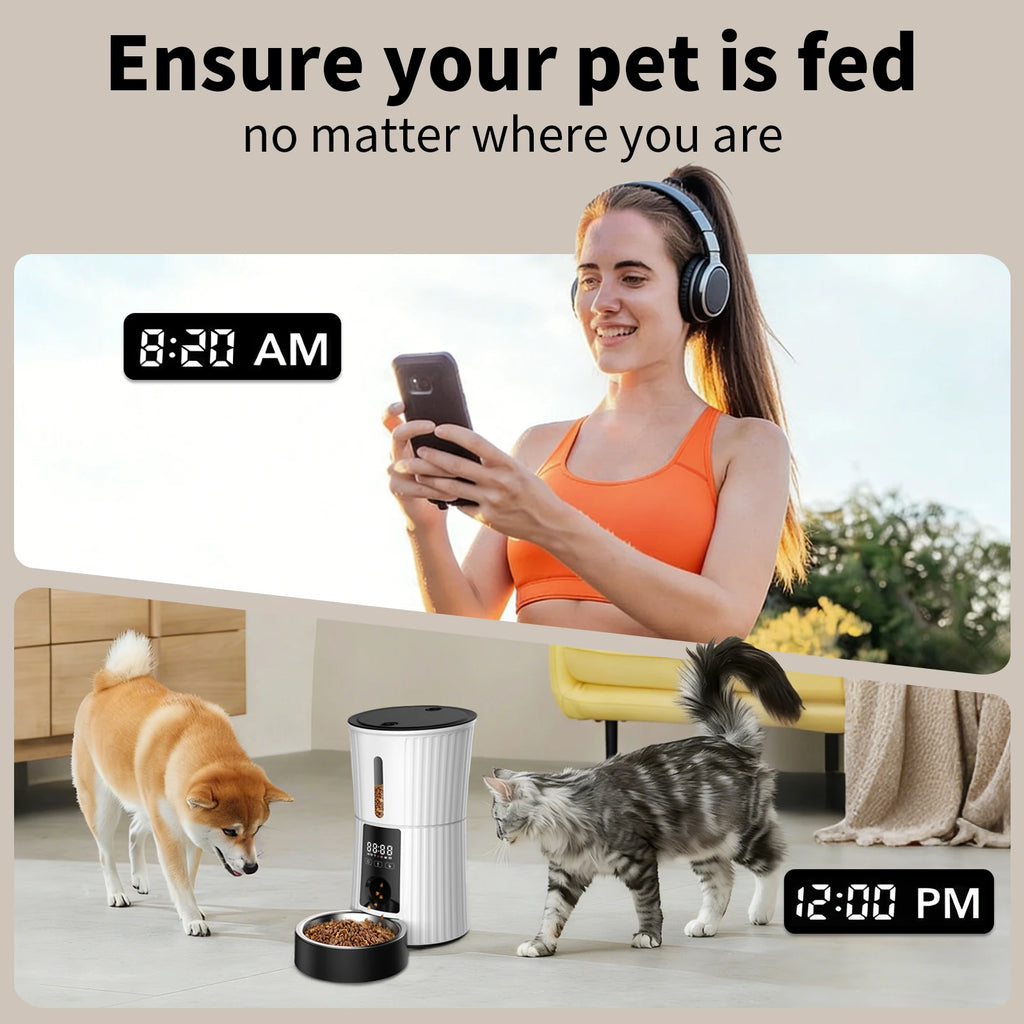 New Timed Automatic Cat Feeders 4L Automatic Cat Food Dispenser 10S Voice Recorder for Cats and Small Medium Dogs