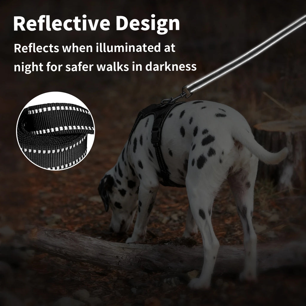 Factory Price Free Shipping Double-Sided Reflective Dog Leash with Padded Handle & Enhanced D-Ring for Poop Bags & Keys