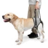 Dog Rear Leg Support Harness, Pet Lift Sling for Senior & Disabled Dogs, Adjustable Rehabilitation Aid