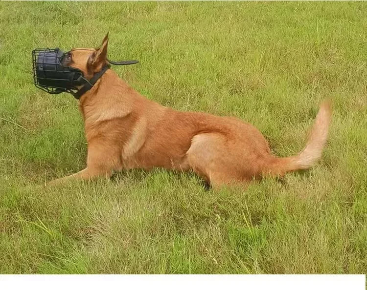 Us in Stock Stainless Steel Wire Dog Muzzle - Breathable Anti-Bite Cage Muzzle for Medium/Large Working Dogs