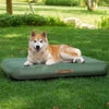 Outdoor Inflatable Dog & Cat Bed for Small Pets Waterproof Solid Summer Anti-Slip Bottom Green 36x27 Inch Removable Cover