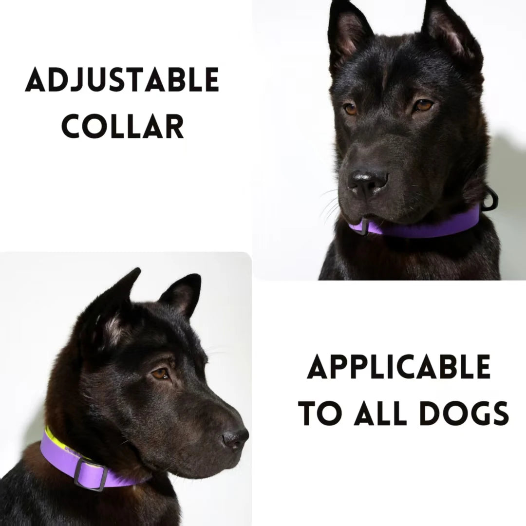 Waterproof PVC Dog Collar and Leash Set,Colorful Honeycomb Pattern Adjustable Collar with Matching Lead for All Breeds