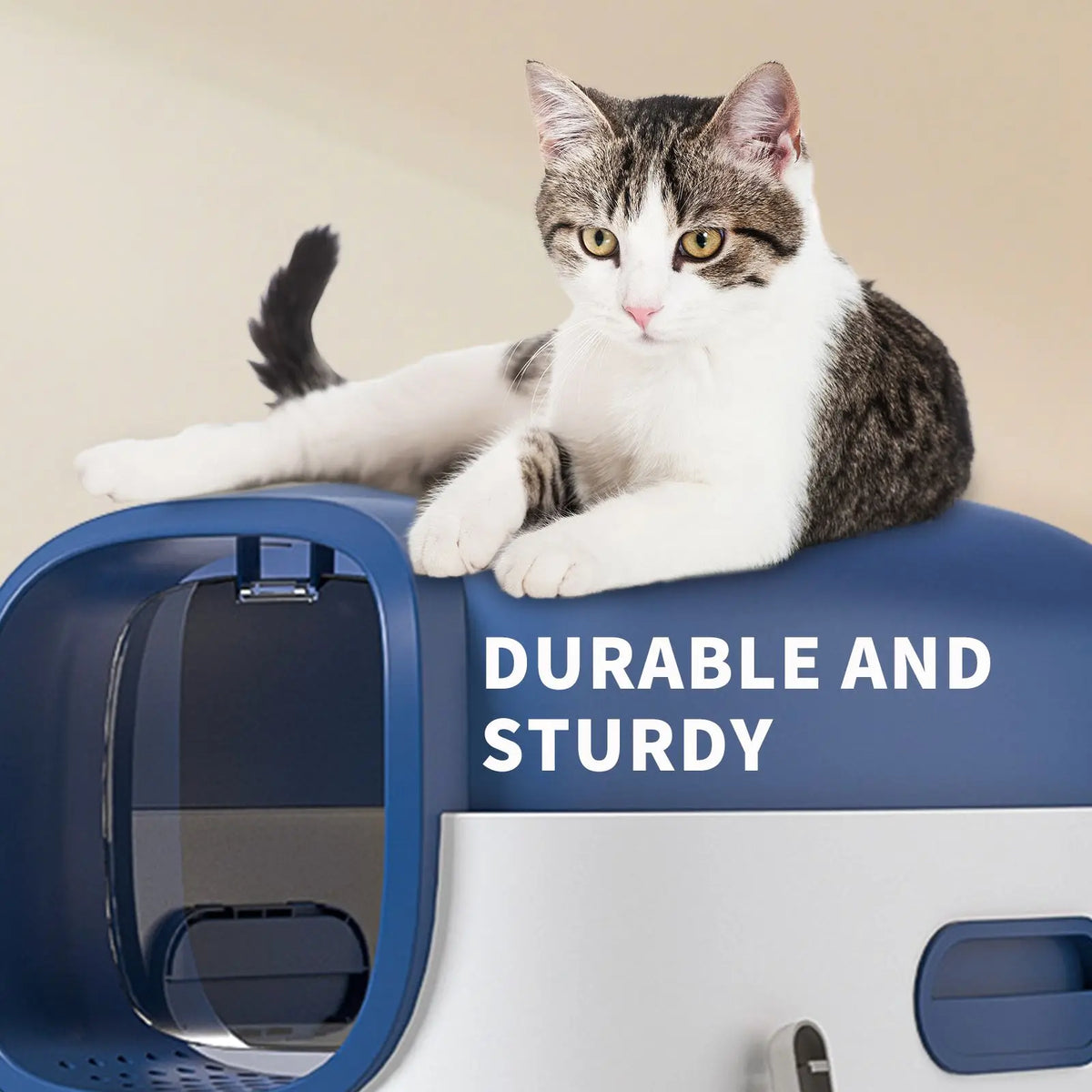 "XL Smart Plastic Cat Litter Box Large Space Practical & Cost Effective"