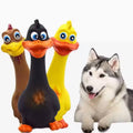 3-Pack Multi-Color Set