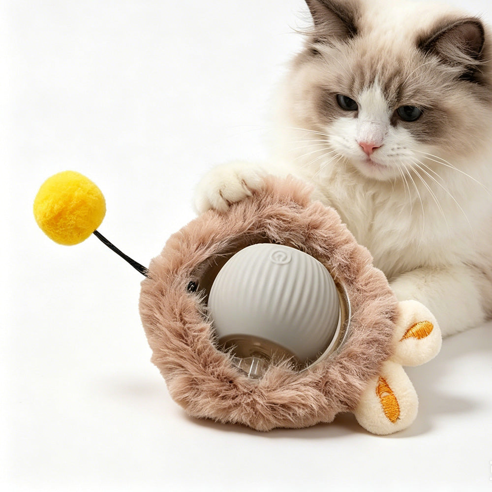 BD Warp™ Smart Interactive Electric Rolling Pet Ball for Dogs & Cats - Main View
