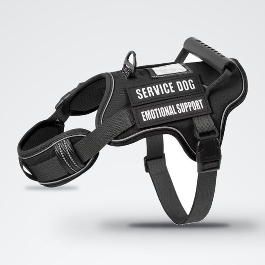 BD Warp™ Pro Tactical No-Pull Dog Harness - Pure Cool Gray Studio Hero Bold